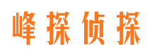 隆子侦探公司